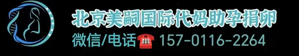 男同性恋做试管婴儿